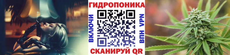 наркошоп  Чистополь  darknet официальный сайт  Бошки Шишки марихуана 